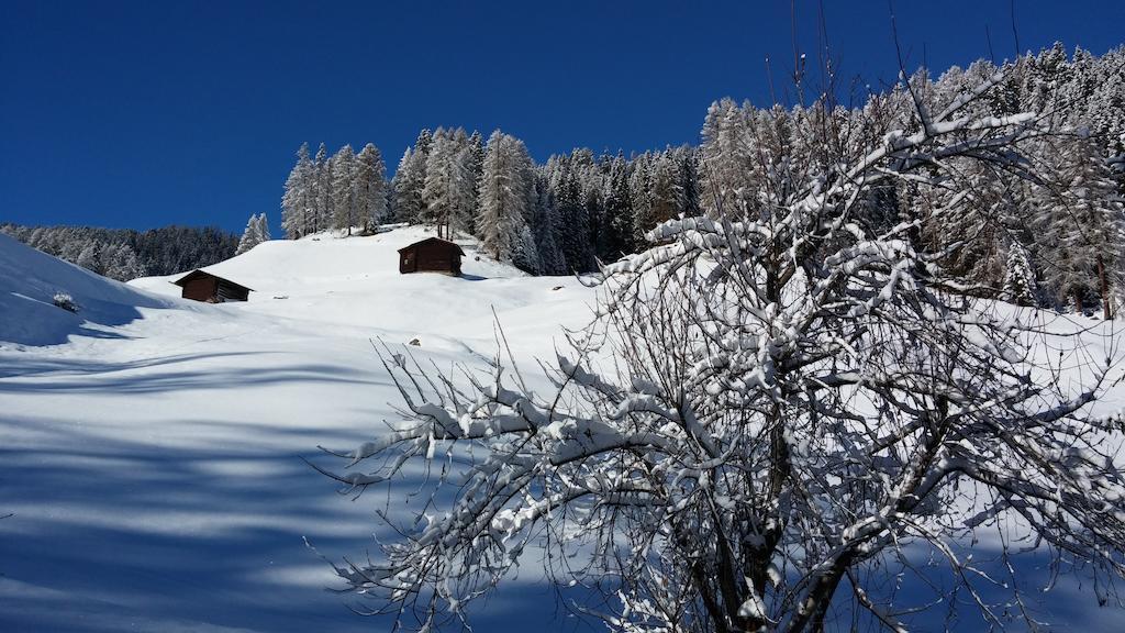 Ferienwohnung Gadenstatt Davos Exteriör bild