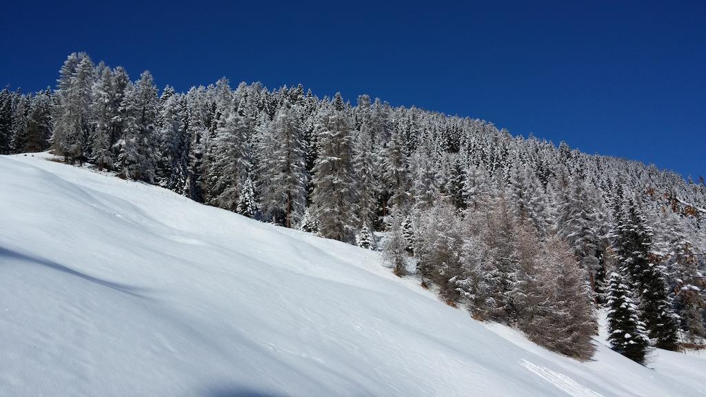 Ferienwohnung Gadenstatt Davos Exteriör bild